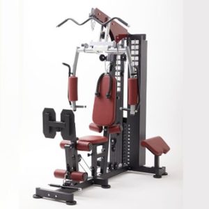 Ds 916 2 Station Compact Multi gym